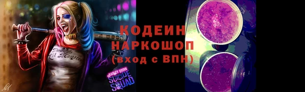прущий лед Арсеньев