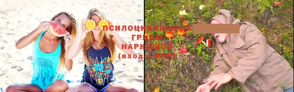 прущий лед Арсеньев